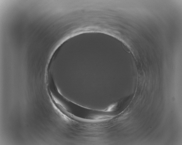 X0000070171527200606091427