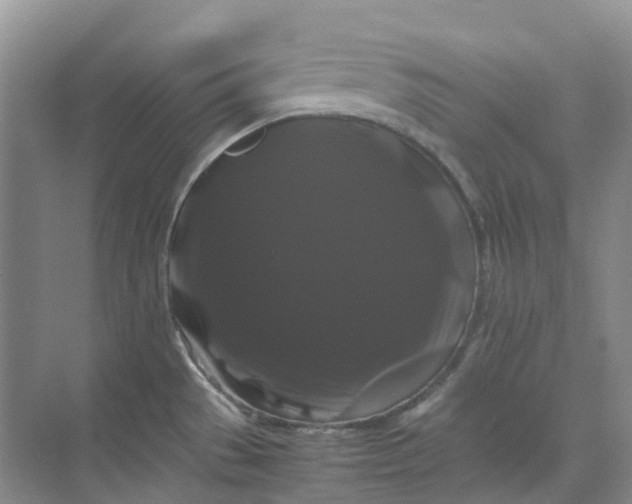 X0000070171529200606091427
