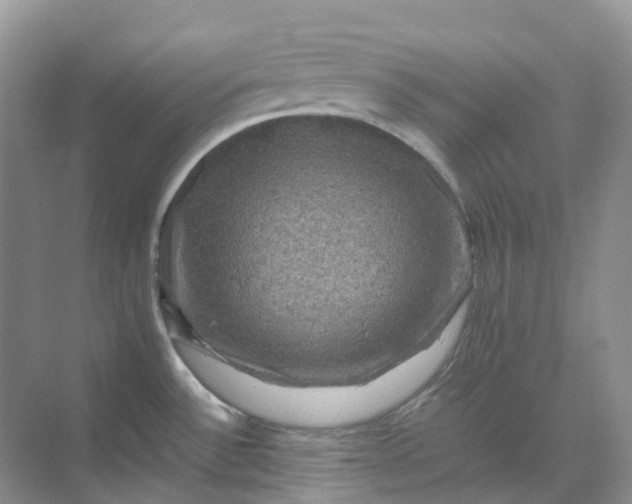 X0000070171532200606091428