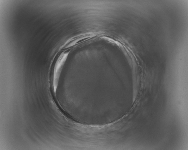 X0000070170002200606162108