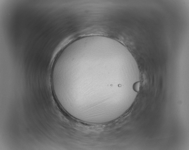 X0000070170004200606162108