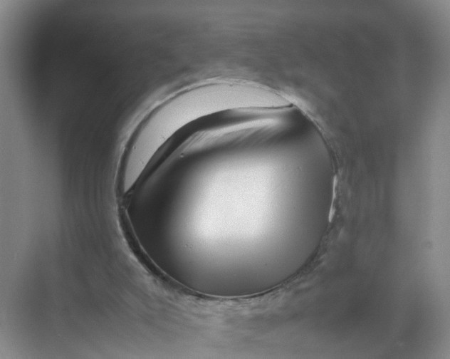 X0000070170007200606162108