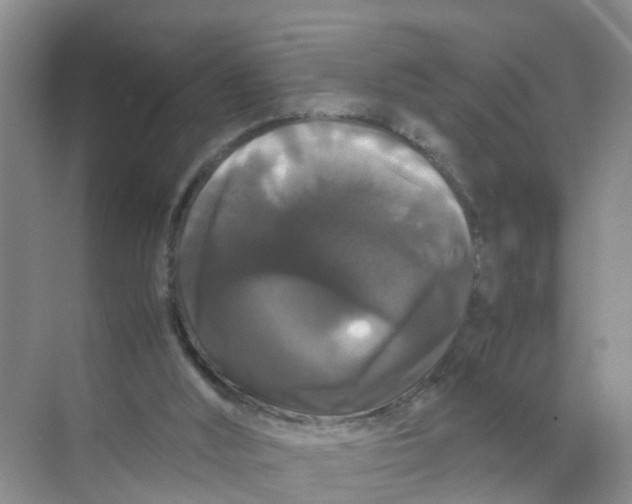 X0000070170012200606162108