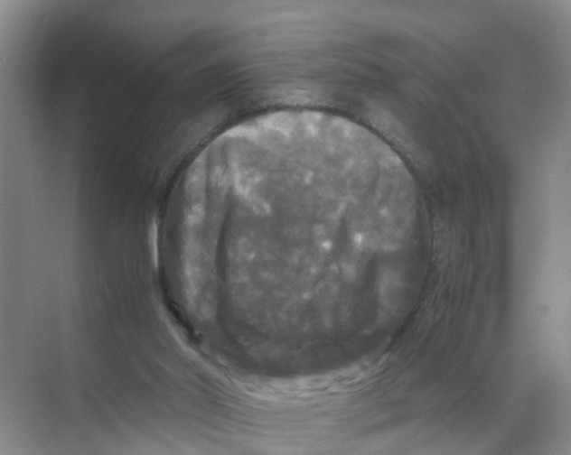 X0000070170014200606162108