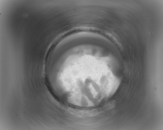 X0000070170016200606162108