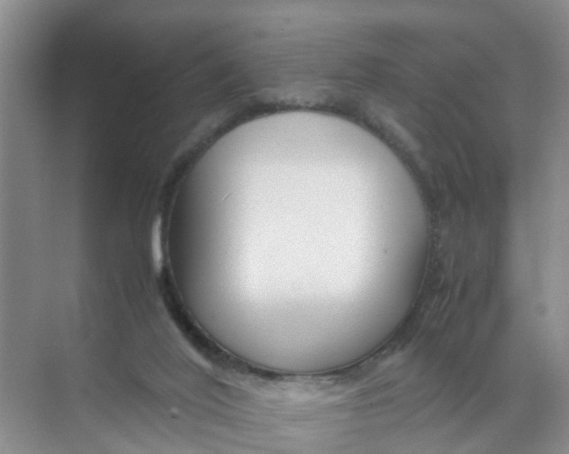 X0000070170020200606162108