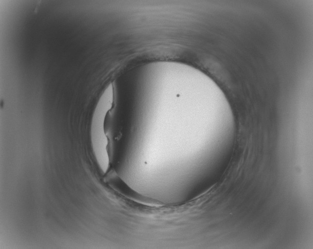 X0000070170021200606162108