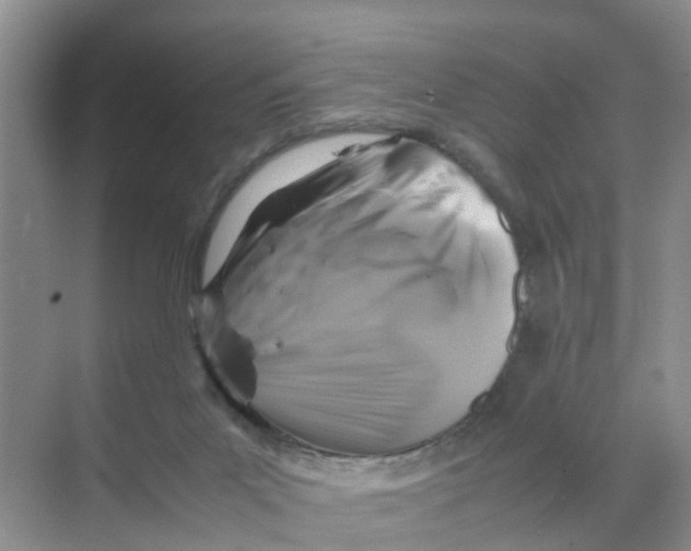 X0000070170023200606162108