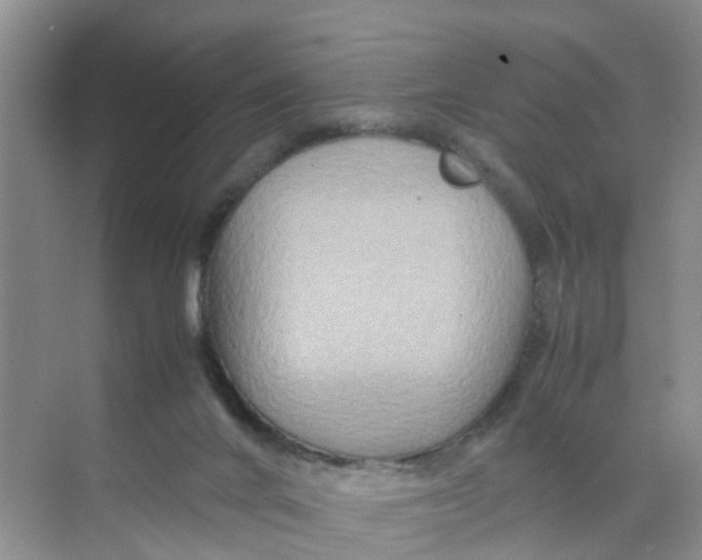 X0000070170024200606162108