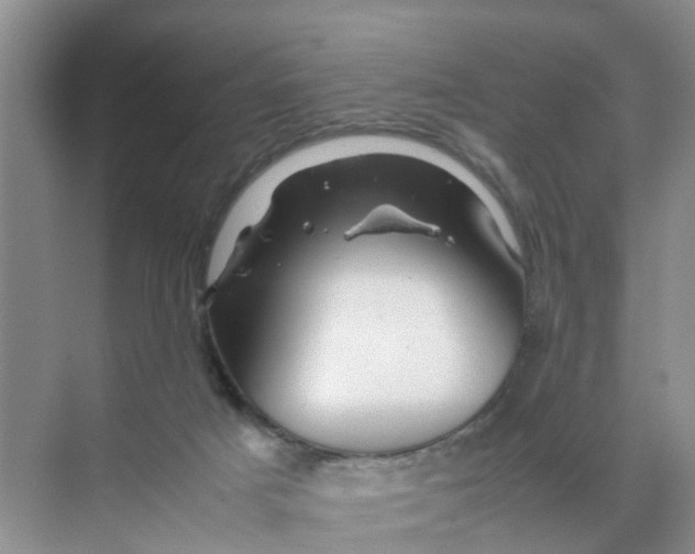 X0000070170025200606162108