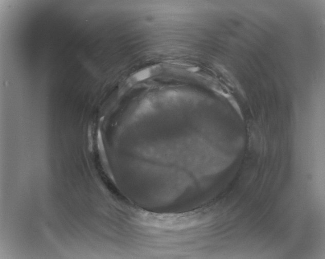 X0000070170026200606162107