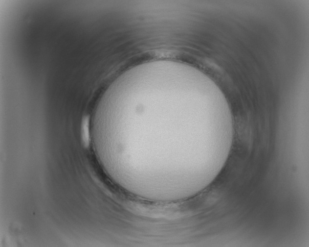 X0000070170028200606162107