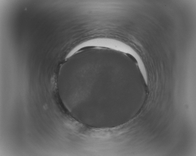 X0000070170029200606162107