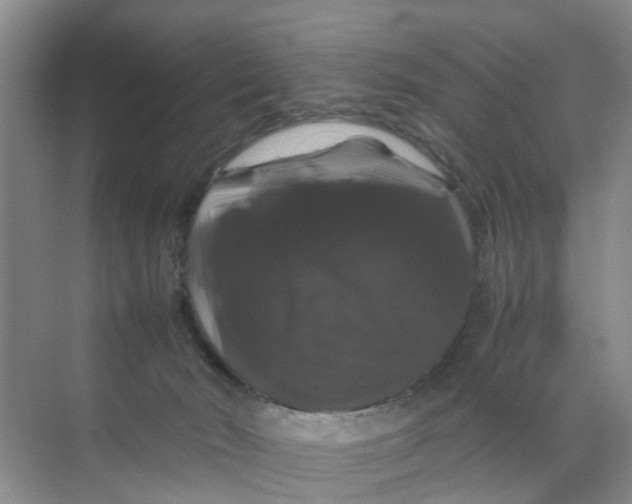 X0000070170030200606162107