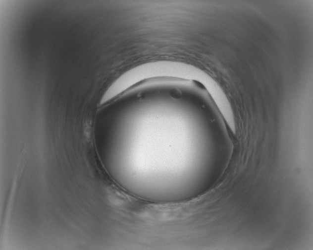 X0000070170033200606162107