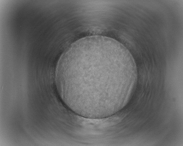 X0000070170034200606162107