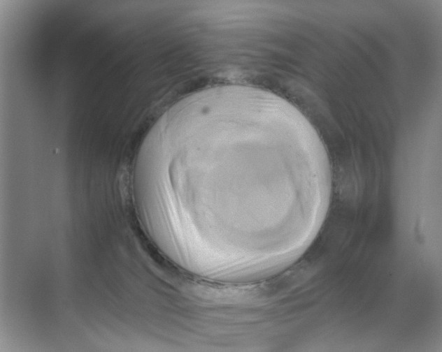 X0000070170036200606162107