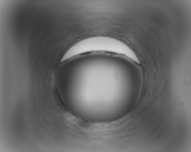 X0000070170037200606162107