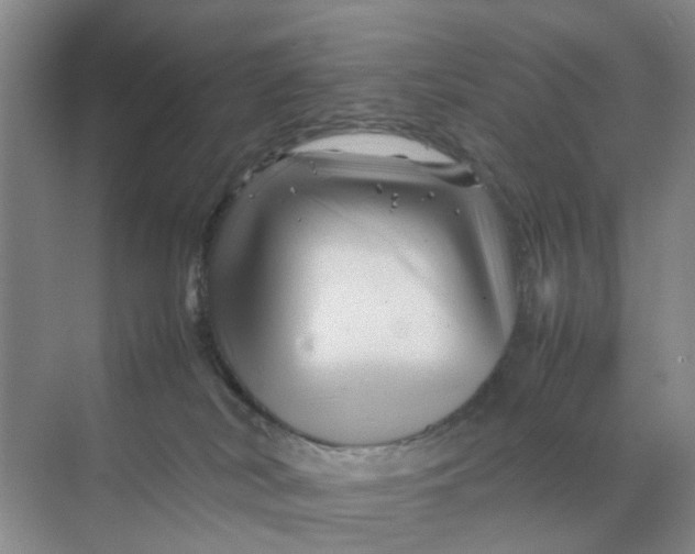 X0000070170038200606162107