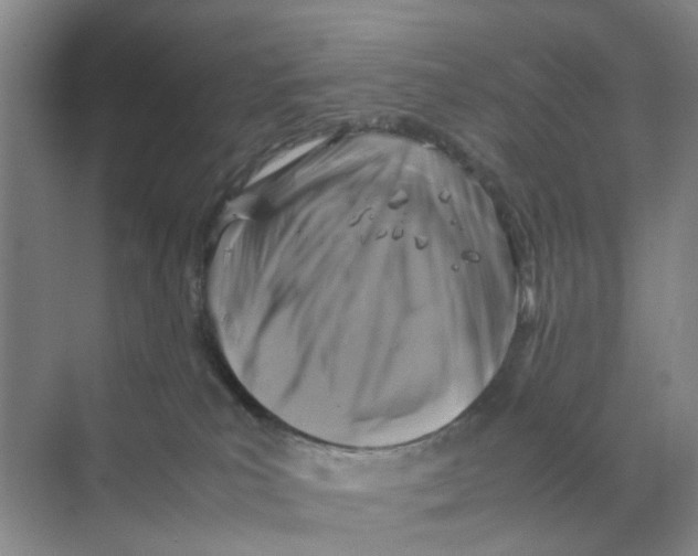 X0000070170039200606162107