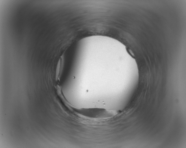 X0000070170040200606162107