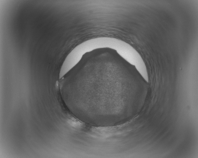 X0000070170041200606162107