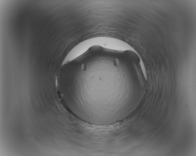 X0000070170042200606162107