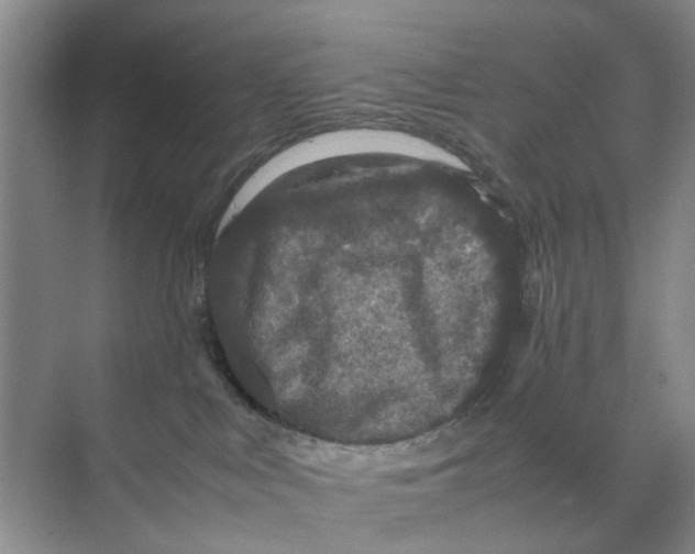 X0000070170043200606162107