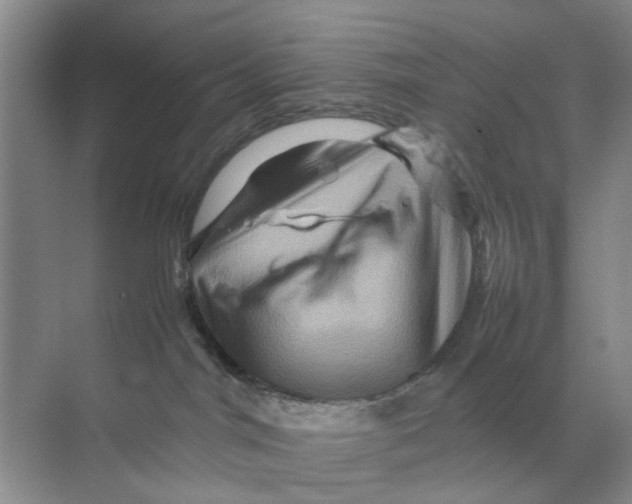 X0000070170044200606162107