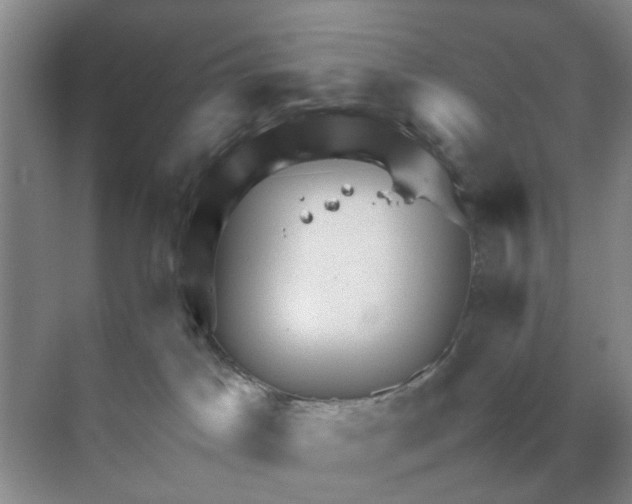 X0000070170045200606162107