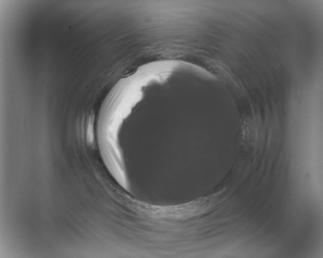 X0000070170046200606162107