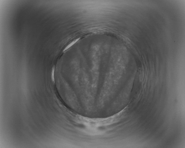 X0000070170047200606162107