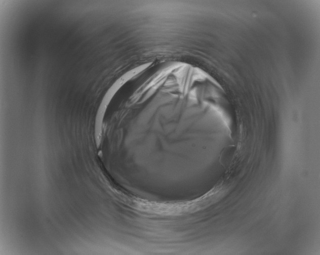 X0000070170048200606162107