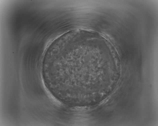 X0000070170049200606162106