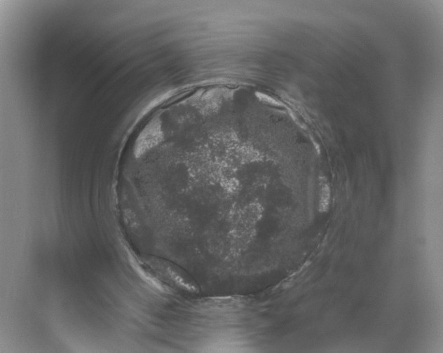 X0000070170050200606162106