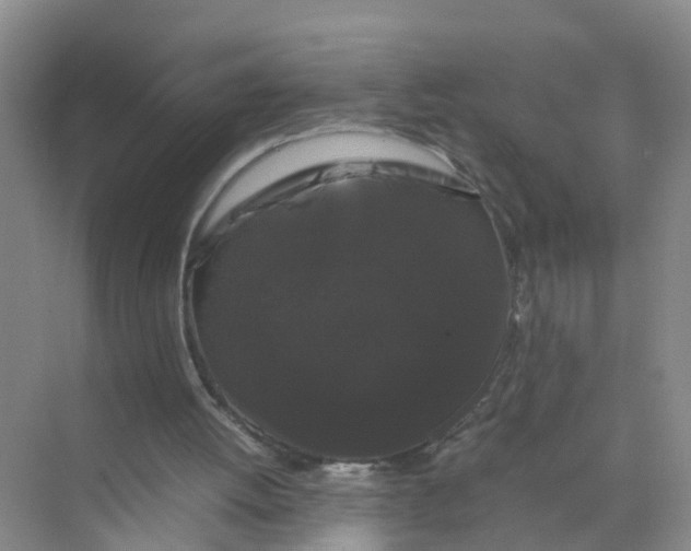 X0000070170052200606162106