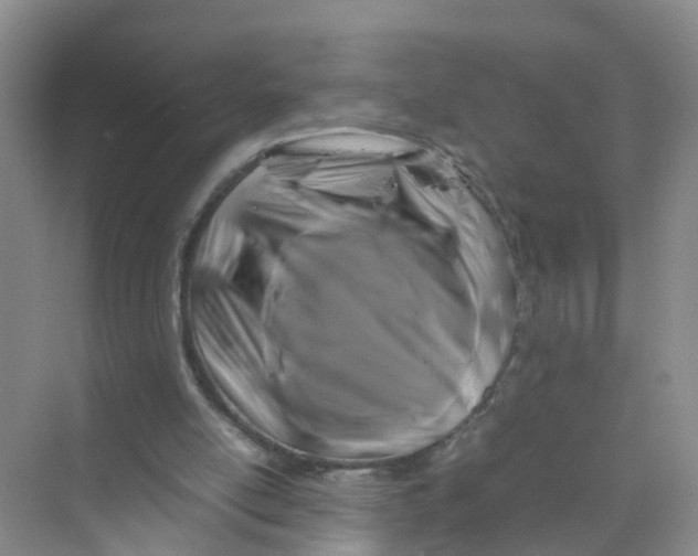 X0000070170054200606162106