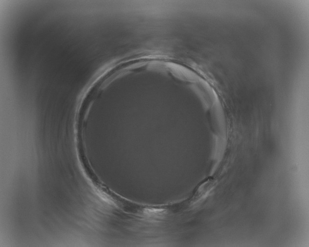 X0000070170055200606162106