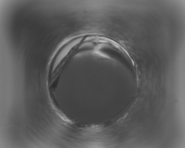 X0000070170056200606162106