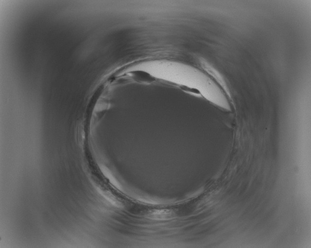 X0000070170059200606162106