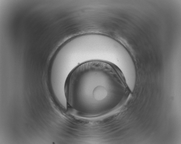 X0000070170060200606162106