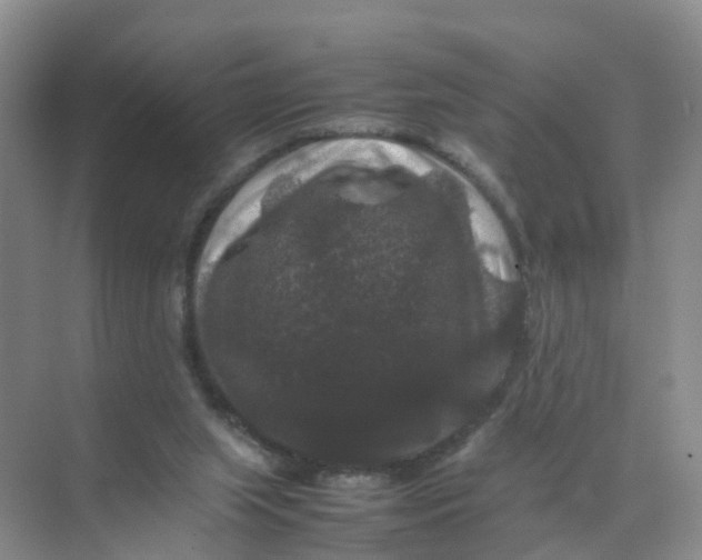 X0000070170063200606162107