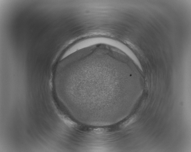 X0000070170064200606162107