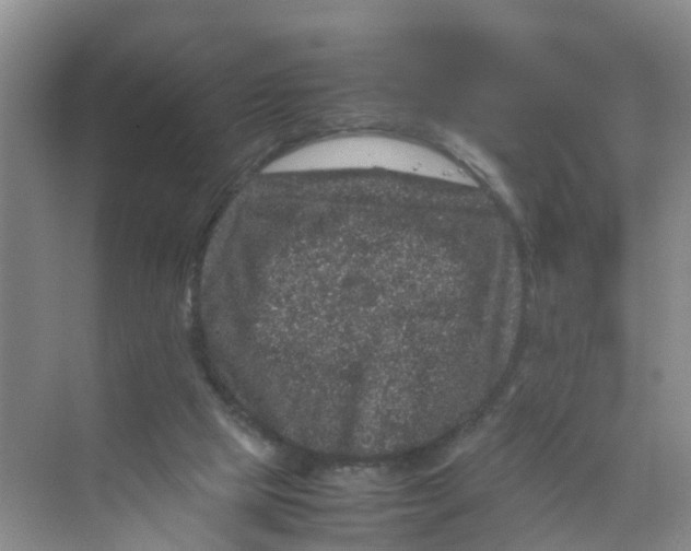 X0000070170065200606162107