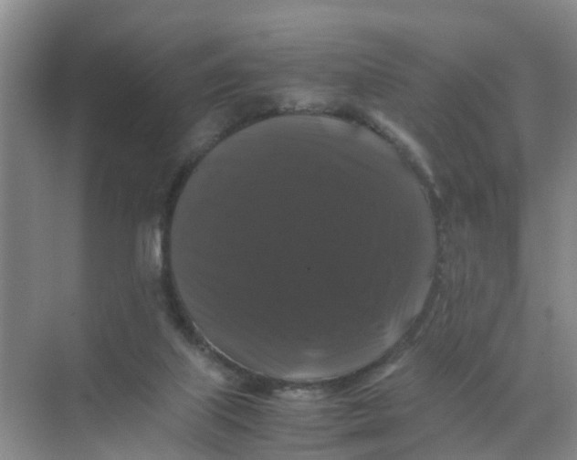 X0000070170067200606162107