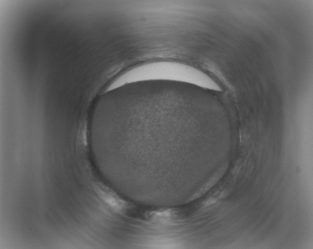 X0000070170068200606162107