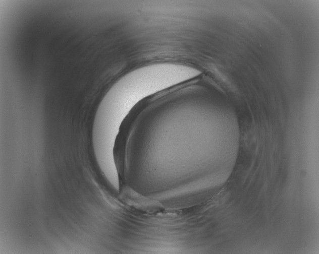 X0000070170070200606162107