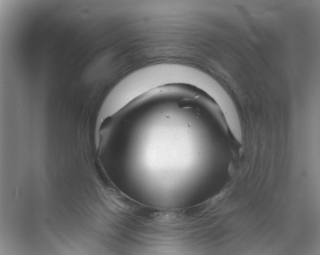 X0000070170074200606162107