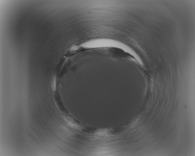 X0000070170076200606162107