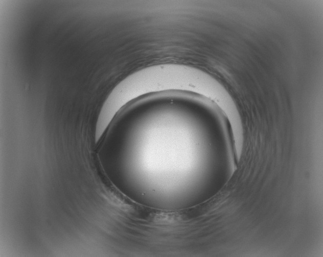 X0000070170077200606162107